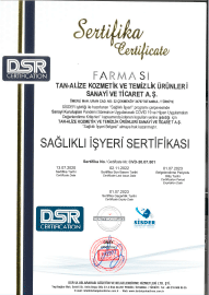 Sağlıklı İşyeri